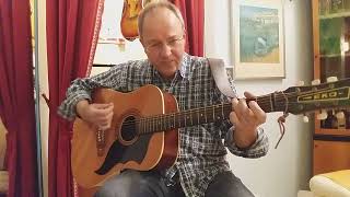 Soldier of plenty (Jackson Browne) - COVER