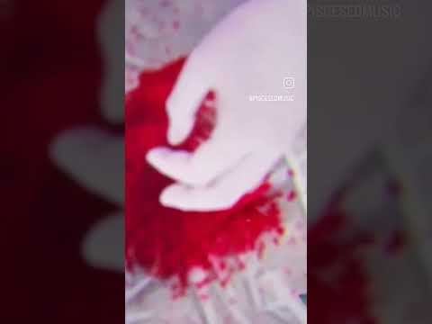 Teamworx Feat. Yam Refaeli -Until Were Falling Down (Pisces Remix) #israel #october #יםרפאלי