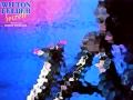NO MATTER HOW HIGH I GET - Wilton Felder f Bobby Womack & Altrinna Grayson