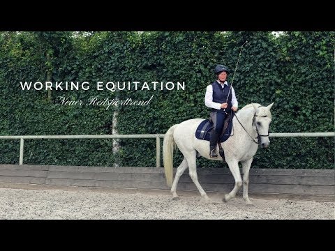 Was ist Working Equitation? | Wissen