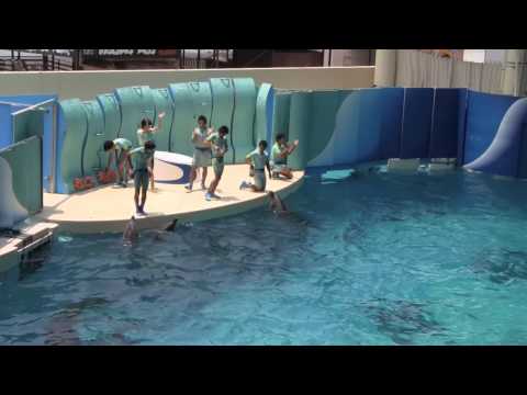 Enoshima Aquarium 2009 Splash Attraction - (HD) - Part 2