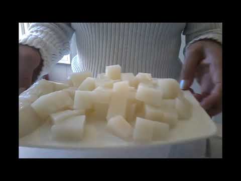 Conchas de Sabonete - molde de acetato - PAP