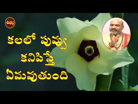 flower dreams | kalalo puvvulu kanipiste | dreams of flowers | pushpam | puvvulu | flowers in dreams