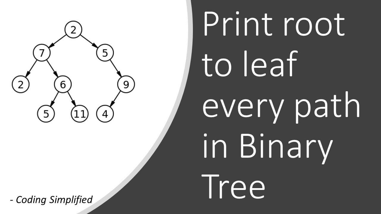 Binary Tree - 45: Print Root To Leaf Every Path In Binary Tree