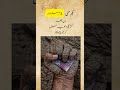 Labour Day Poetry Youm E Mazdoor Shayari Status Labourday