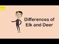 Differences of Elk and Deer