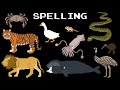 Animal Spelling 2 The Kids Picture Show