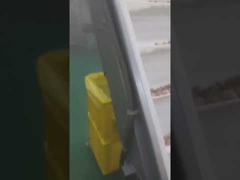 SLICED & DICED MEAT Meat Processing Equipment | Perry Equipment (5)