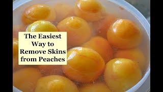 The Easiest Way to Remove the Skins from Peaches