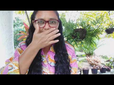 Provérbios, 28, v 13 e 14.