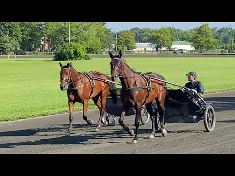 2021 Hambletonian Horse -- Sonofamistery