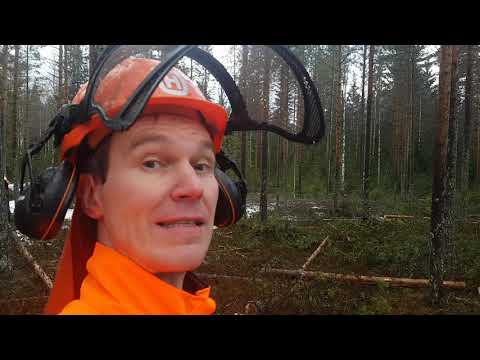 Perjantai-illan savotointitunnelmia vesisateessa