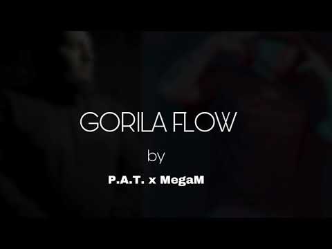 P.A.T. x MegaM - Gorila flow (prod.P.A.T.)|Official audio|