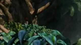 Elliott Yamin Doorway Kingdom Hearts