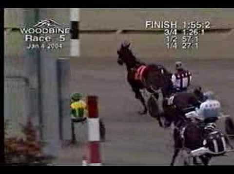 harness racing y chance it 1st. leg horsemans trot