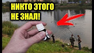 Ссылка