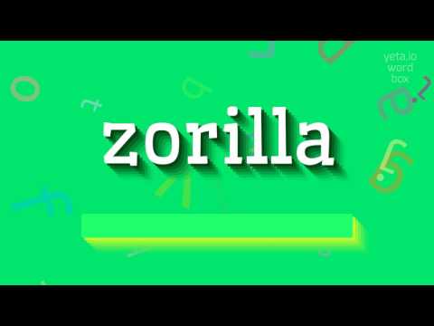 ZORILLA - HOW TO SAY ZORILLA? #zorilla