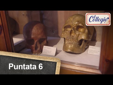 Che noia la paleoantropologia! - Sesta puntata - Il Collegio 5