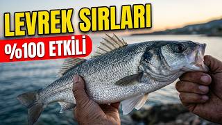 Levrek Avında Başarı İçin Bilmeniz Gereken 6 Kritik Bilgi!