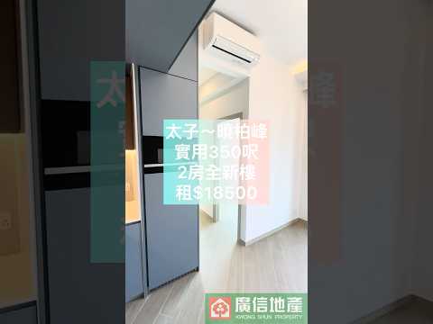 晓柏峰 Youtube Video