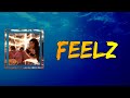 Sevyn Streeter - Feelz (Lyrics)