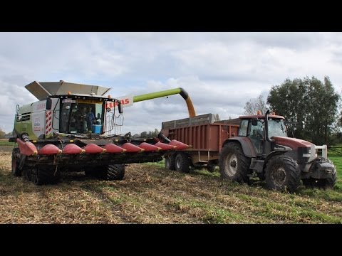 Claas Lexion 770 TT - Loonw. De Bruyne - mais dorsen 2013