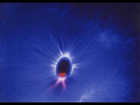 How works living on light a.k.a. Breatharianism scientifically? Part 1 Biophotons