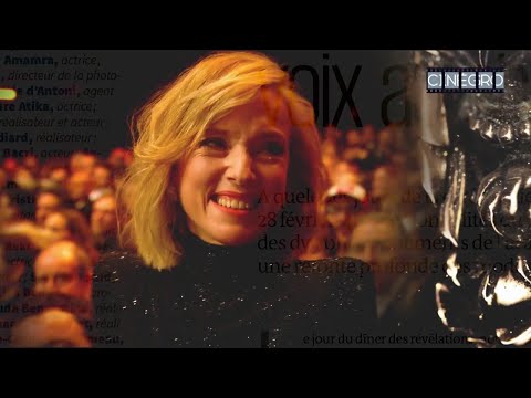 Parité César - Groland