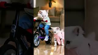 # touch my heart ❤️ #viralvideo#animebeta ko pyar#youtubeshorts#song #cartoon   #youtuber #cute#fun