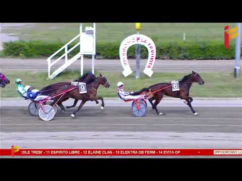 III Corsa del 19 aprile 2023 - 3 Anni - Metri 2000