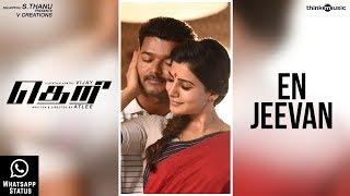 Theri Songs  En Jeevan Whatsapp Status  Vijay Sama