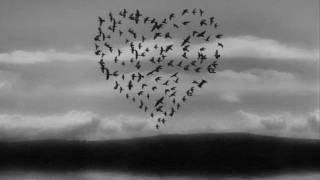 Sospesa Malika Ayane feat.Pacifico