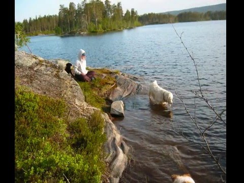 til minne om chitani 0001