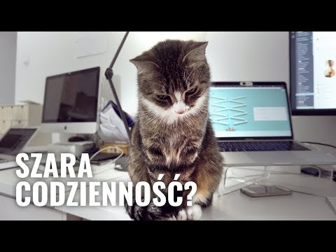Dzień z życia programisty ⌨️ hello roman #34