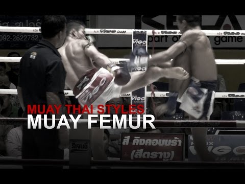 Muay Thai Fighting Styles Part 2 - Muay Femur (Technical Fighter)