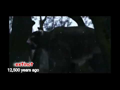 Monsters we Met (Land of Lost Monsters) Extinct Megafauna