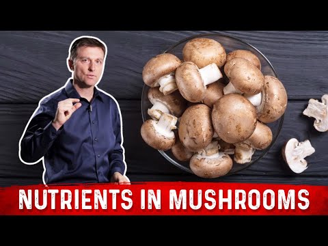 , title : 'The Top Nutrients in Mushrooms Explained By Dr.Berg'