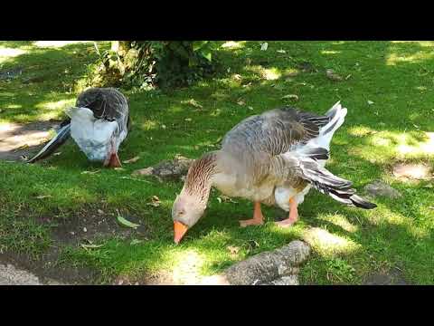 Garden Estrela. Lisbon