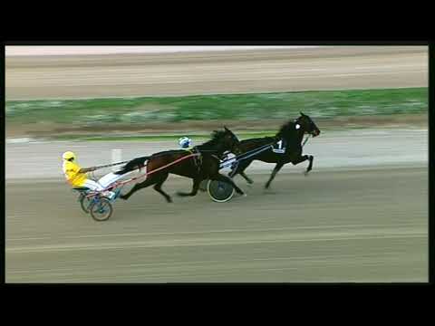 Trotto 06/11/2020 - 2ª prova di qualifica