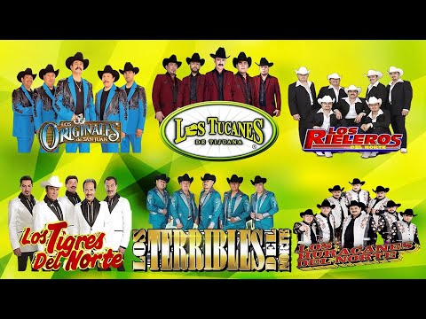 Corridos A Quema Ropa 🎶 Los Tucanes De Tijuana 28 Exitos 🎶 Puros Corridos Pesados Mix 2024