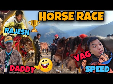 RAJESH DADDY KO HORSE RACE 🏆 || GHALEL GAU TO PKR #adeep