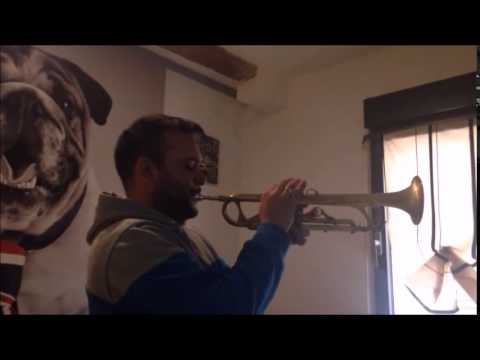 Celine dion: la memoire d'abraham a la trompette