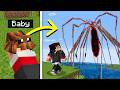 Can You Keep ARACHNOPHOBIA as a Pet? DEFAULT Thumbnail