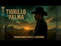 Serenata a Mi Reina - Tigrillo Palma