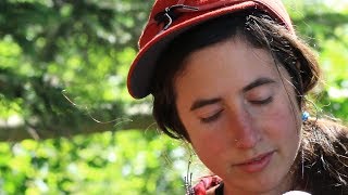 The Lowest Pair - When You Can Get It (Creekside Sessions)