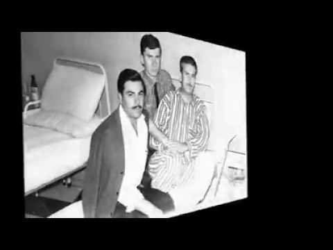 Beritan aşireti doktor rodi demirkapi