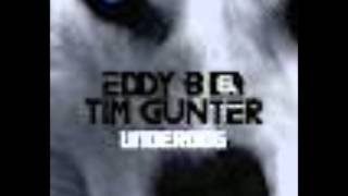 Eddy B & Tim Gunter - Underdog
