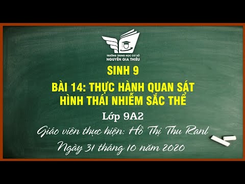 Sinh 9 - Thực Hành Quan Sát Hình Thái Nhiễm Sắc Thể