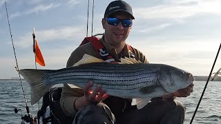 Spring Has Sprung With Big Fish Part 1