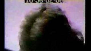 Jeff Beck - She&#39;s A Woman - live